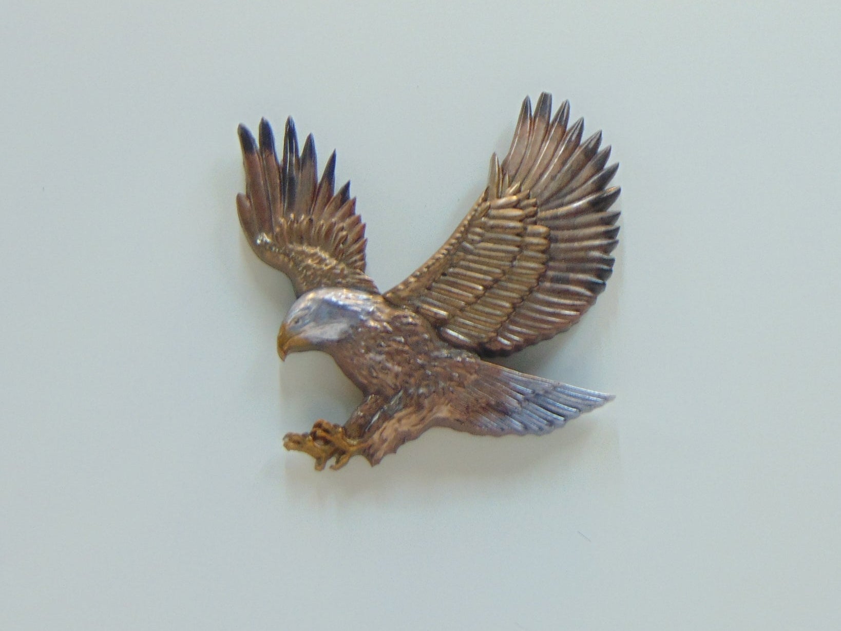 EEW-14 Eagle